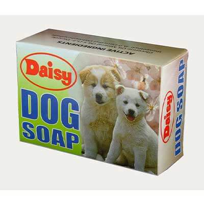 Dog Soap Boxes